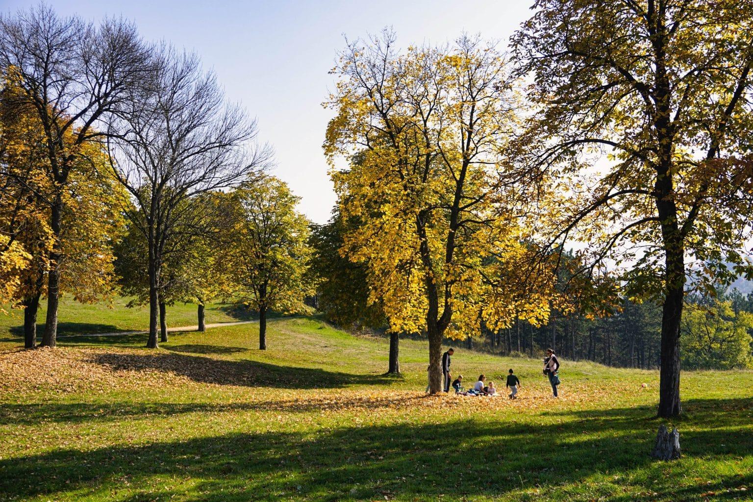 Maison à vendre StAugustin TerrainDev Trouvez LA maison a vendre