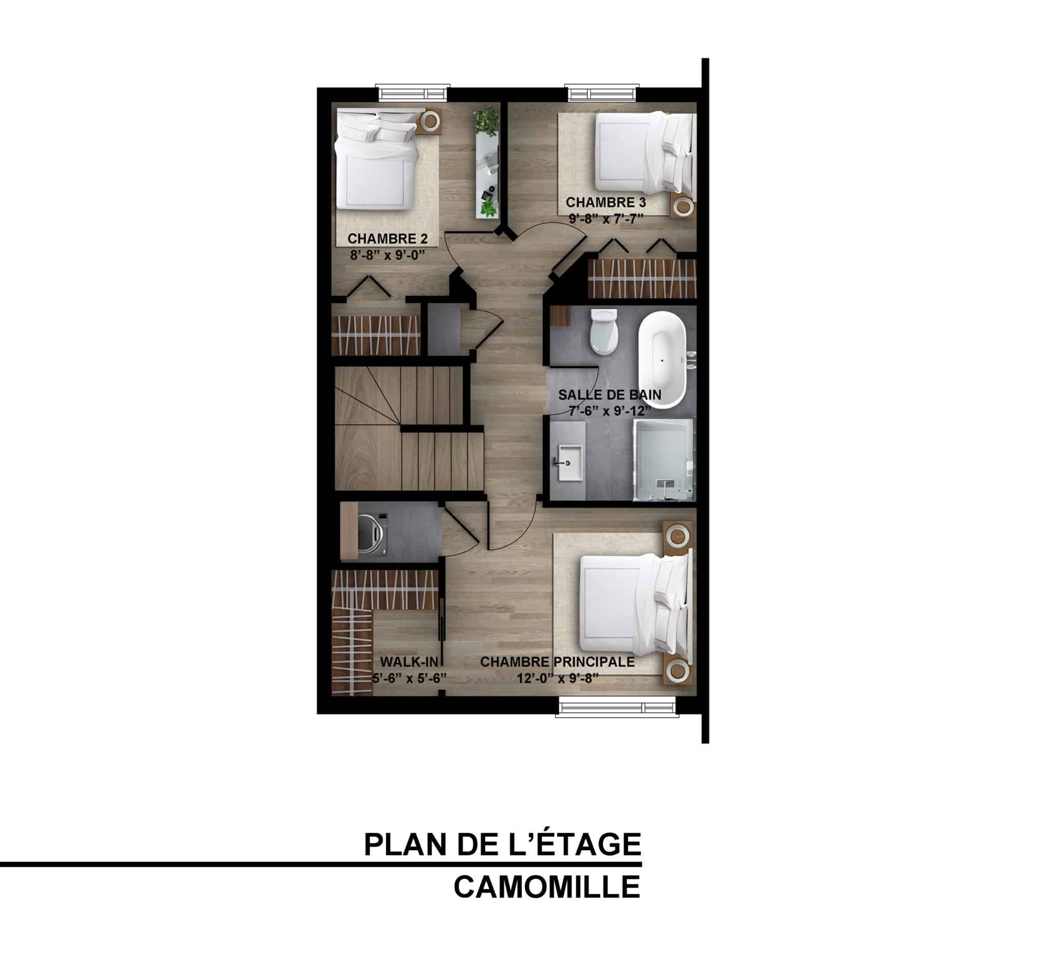 MONTAGE CAMOMILLE ETAGE